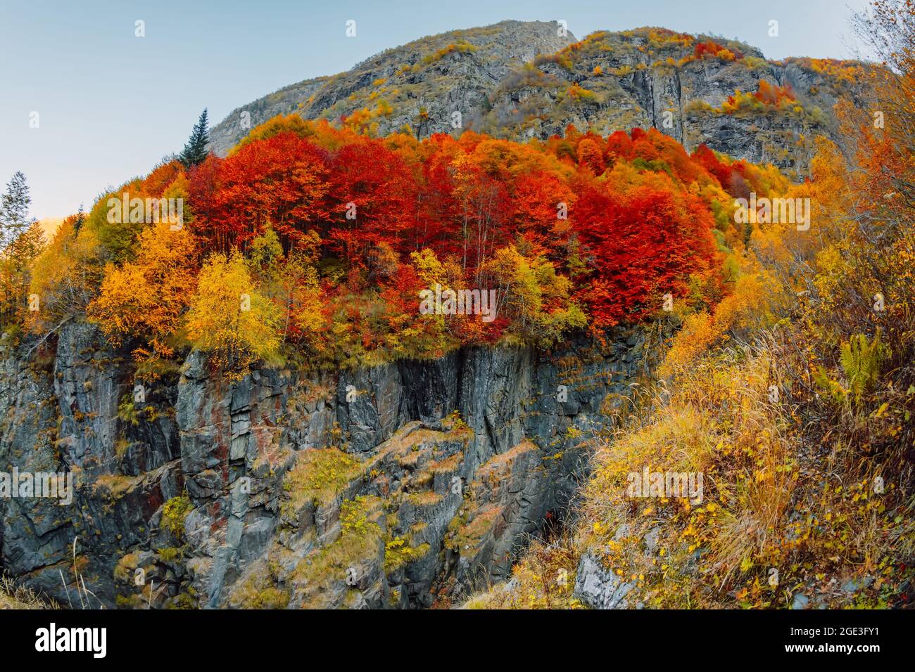 Autumnal trees with colorful leaves on rocky mountain Stock Photo - Alamy
