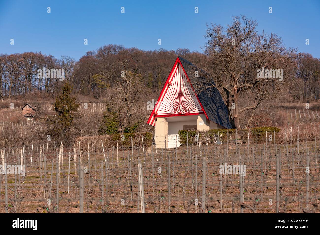 A neat little house in the vineyard on a sunny day Stock Photo