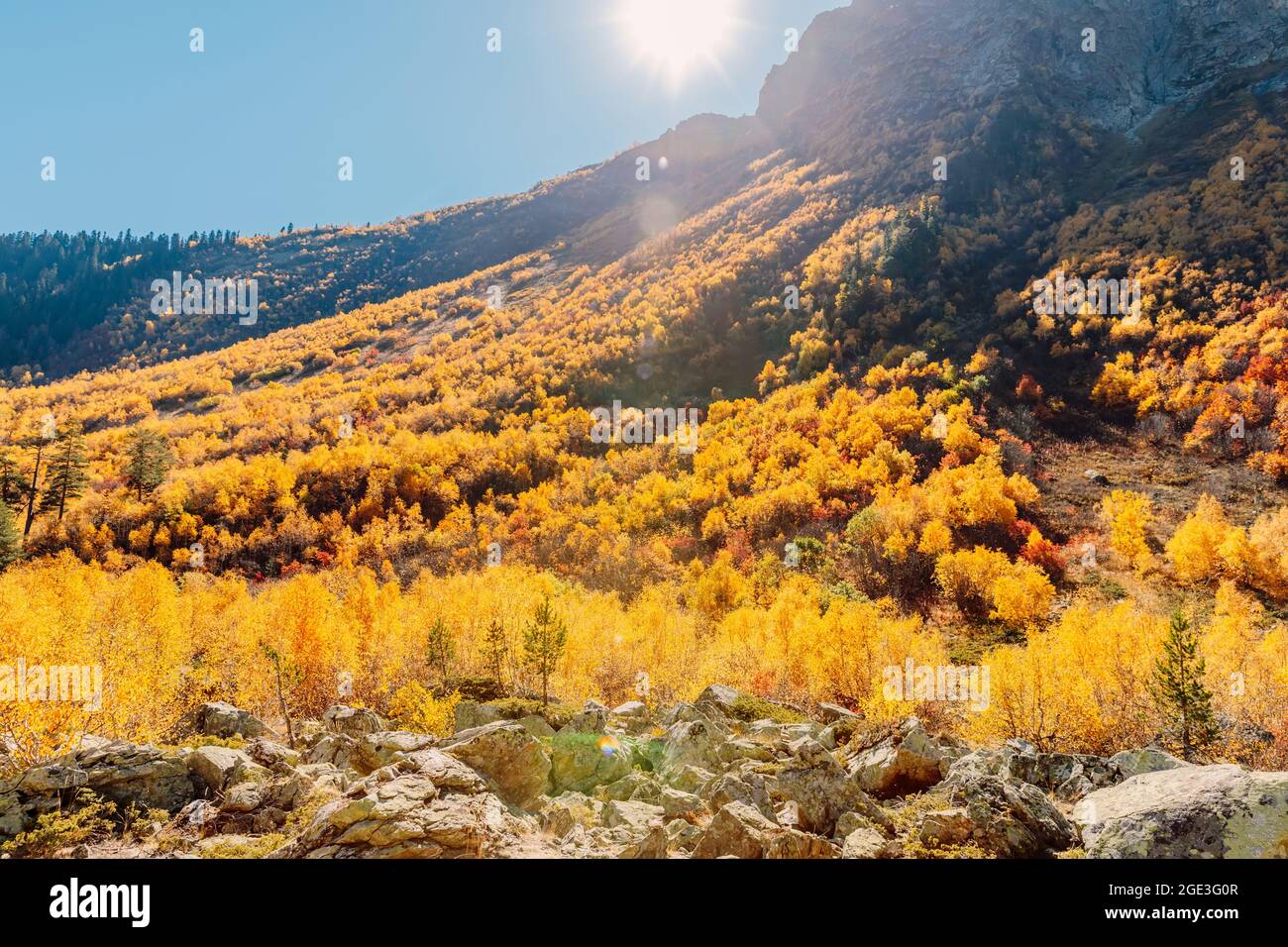 Rocky mountains and autumnal forest with sun in Europe. Mountain ...