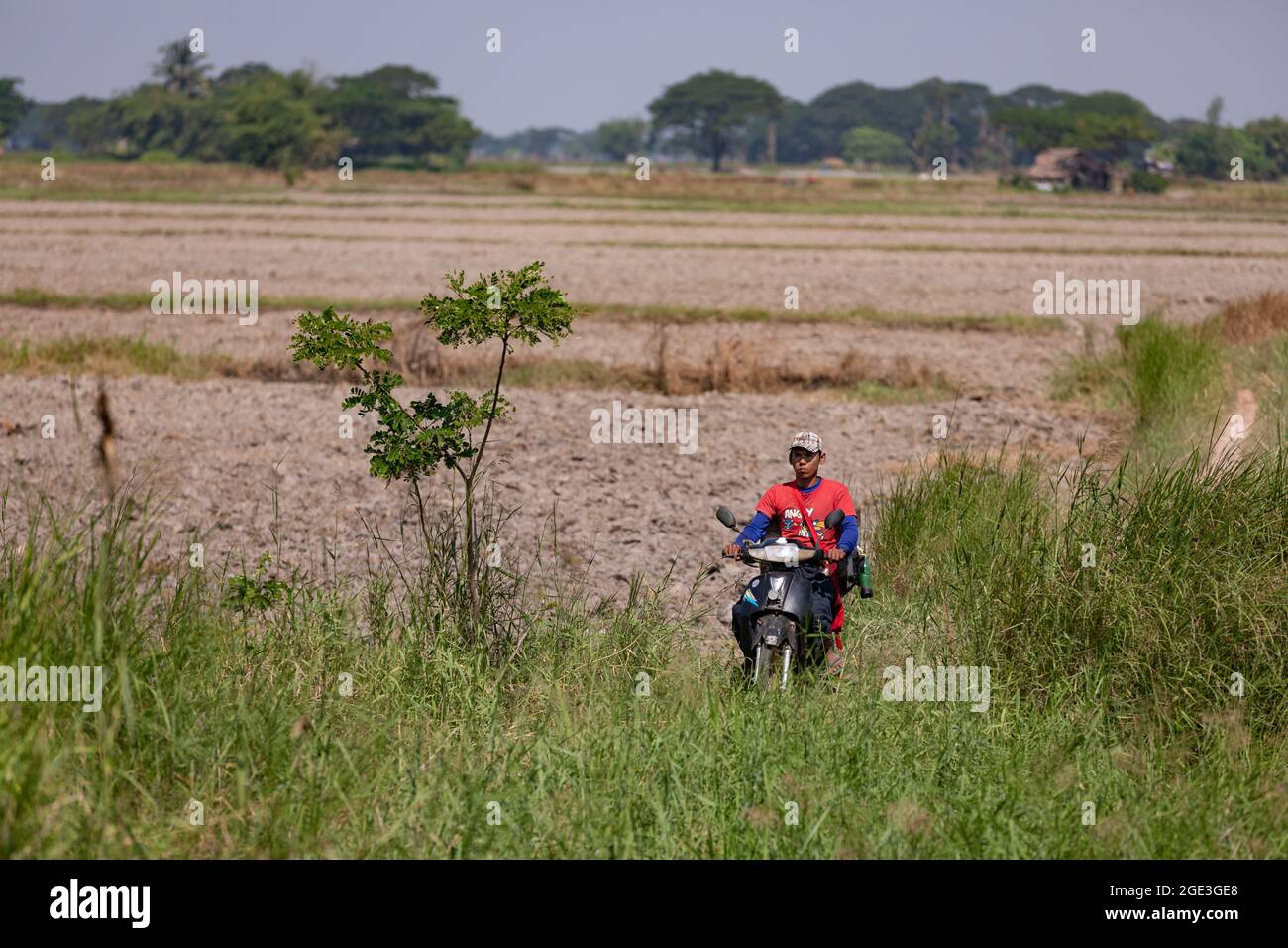 A man on a motorcycle is traveling across the fields of Myanmar on a dirt road Stock Photo
