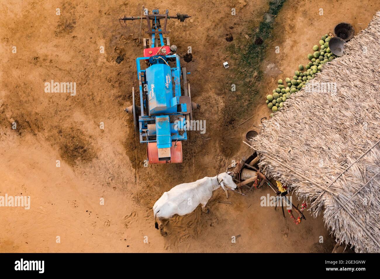 A small cattle farm, agricultural machinery and yard in Old Bagan in Myanmar as seen from the balloon Stock Photo
