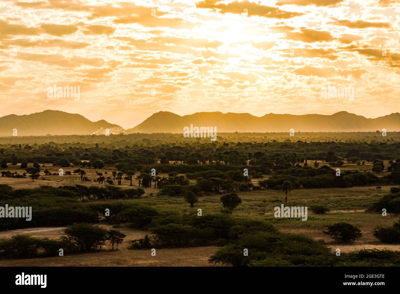 The sunrise over the tree fields of Bagan in Myanmar as seen from a hot air balloon Stock Photo