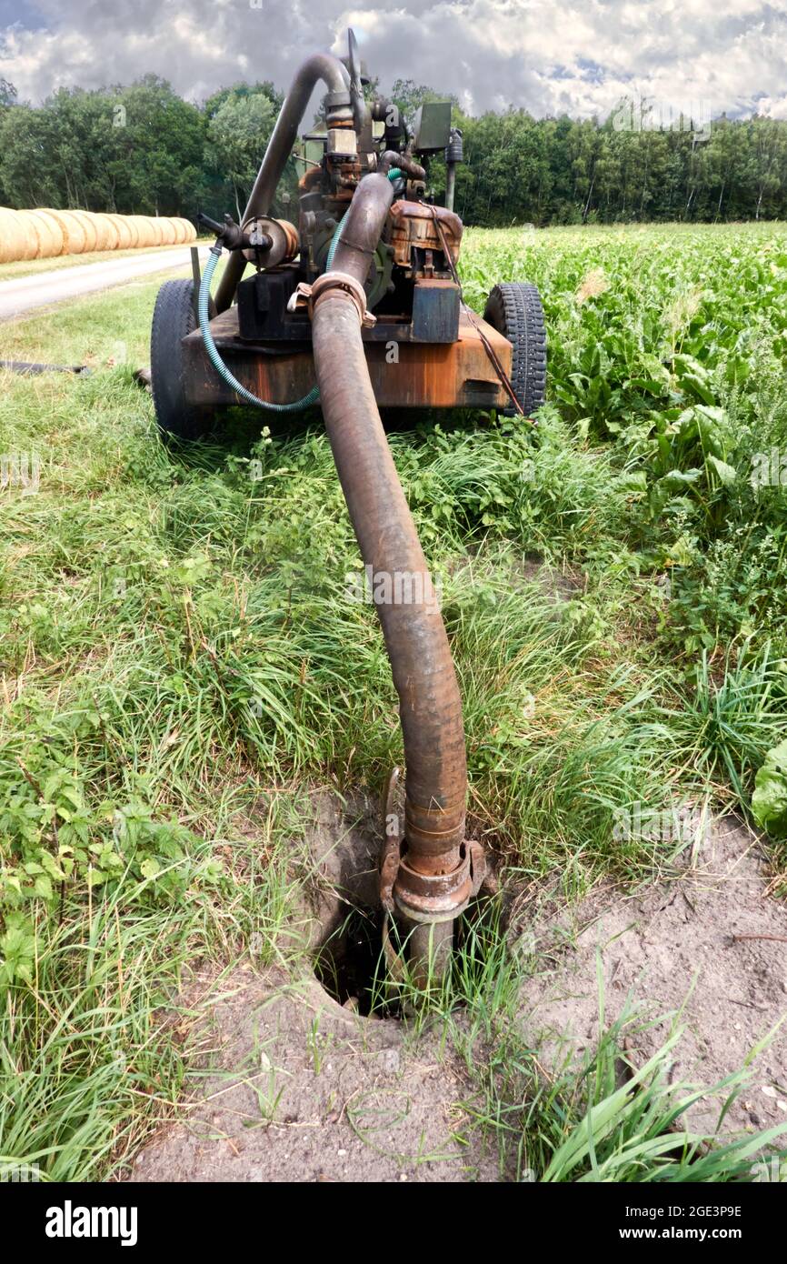 Diesel aggregate with built-in suction pump and delivery hose for extracting groundwater from a well at the edge of the field Stock Photo