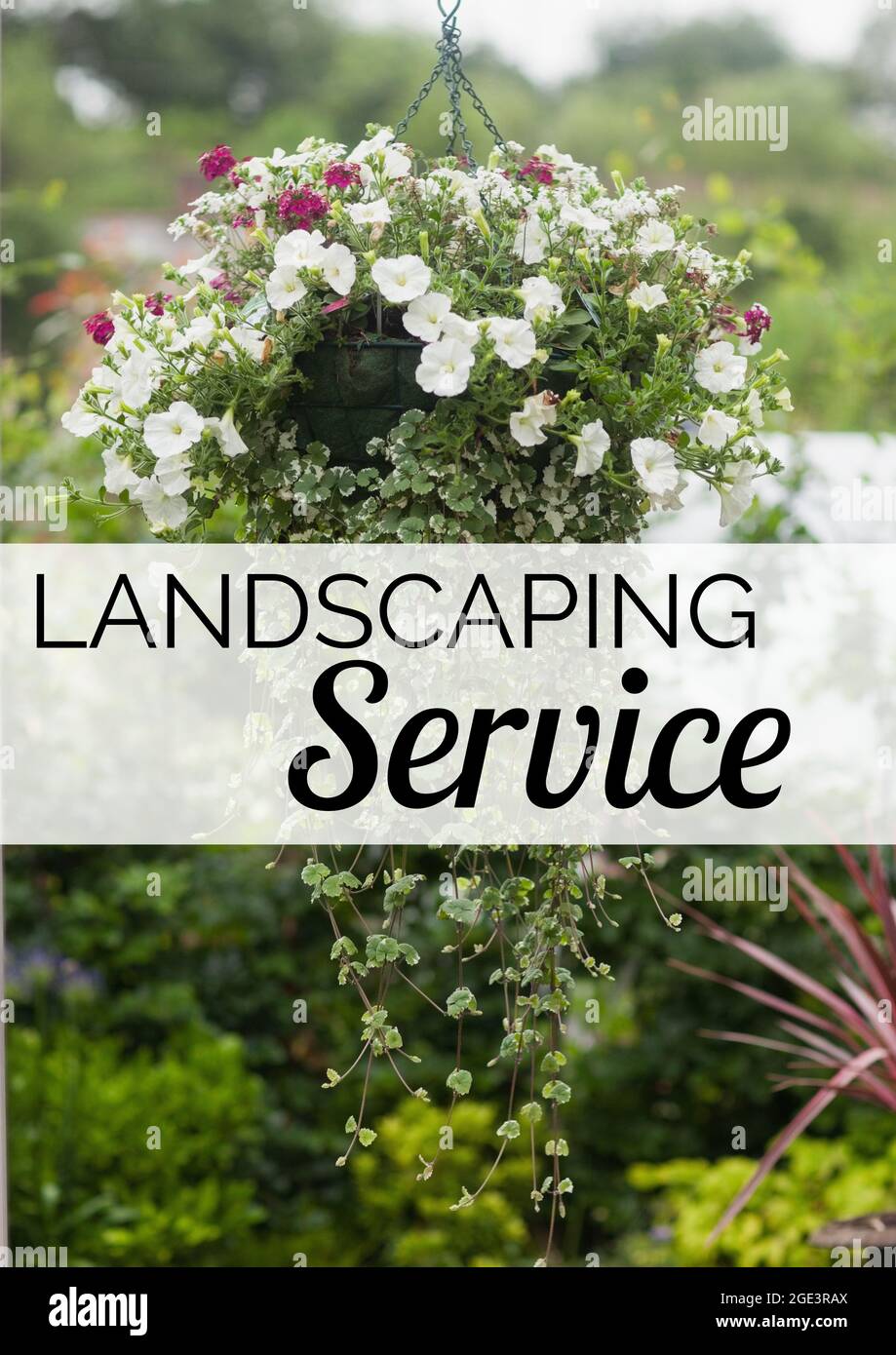 Composition of green gardening services text over colourful flowers hanging Stock Photo