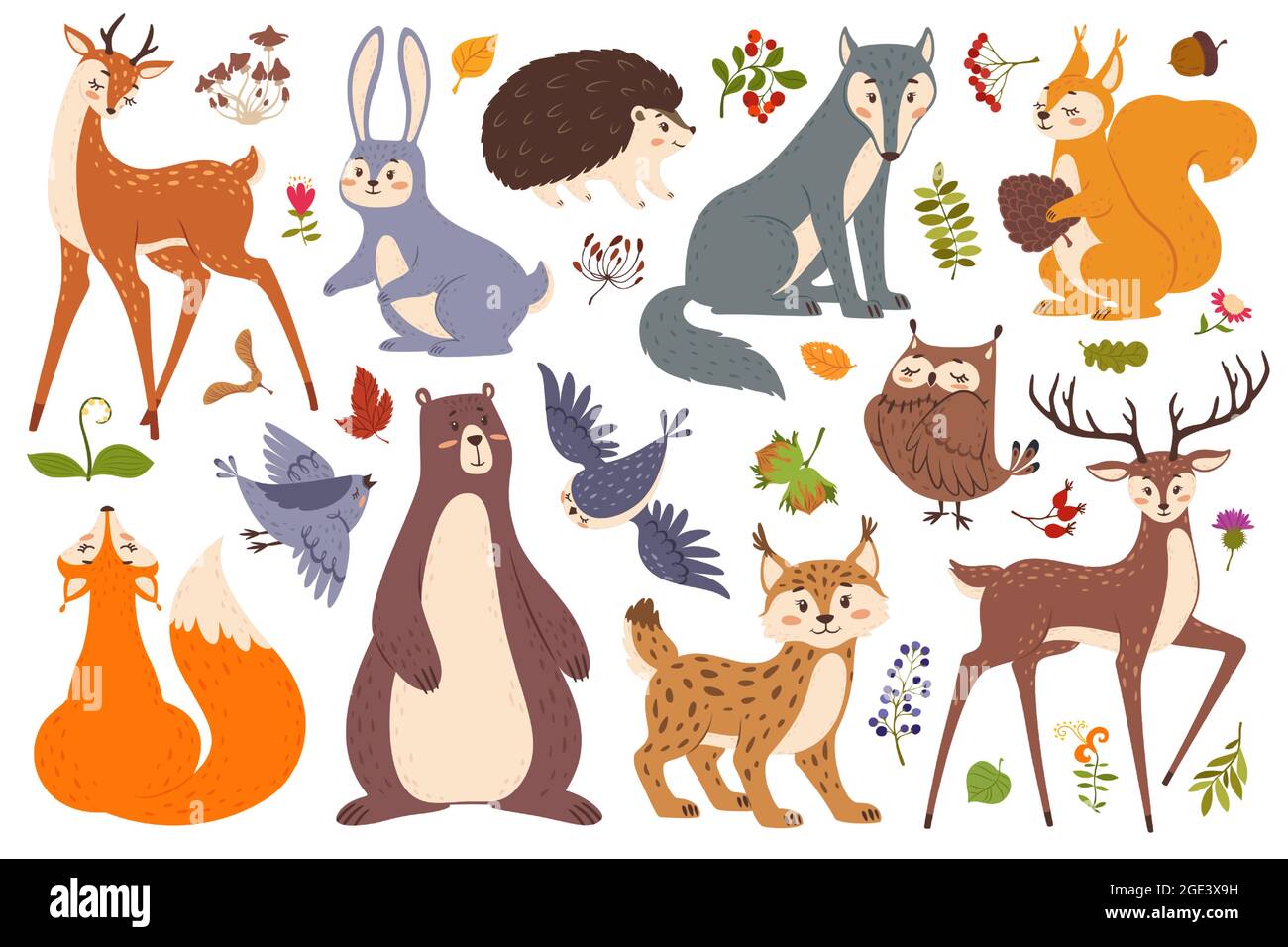 Forest wildlife animals and birds, cute woodland animal. Deer, fox, bear, squirrel, hedgehog, wolf, rabbit. Forest leaves, berries vector set. Plants and funny characters, flora and fauna Stock Vector Image & Art - Forest wildlife animals and birds, cute woodland animal. Deer, fox, bear, squirrel, hedgehog, wolf, rabbit. Forest leaves, berries vector set. Plants and funny characters, flora and fauna Stock Vector Image & Art -
