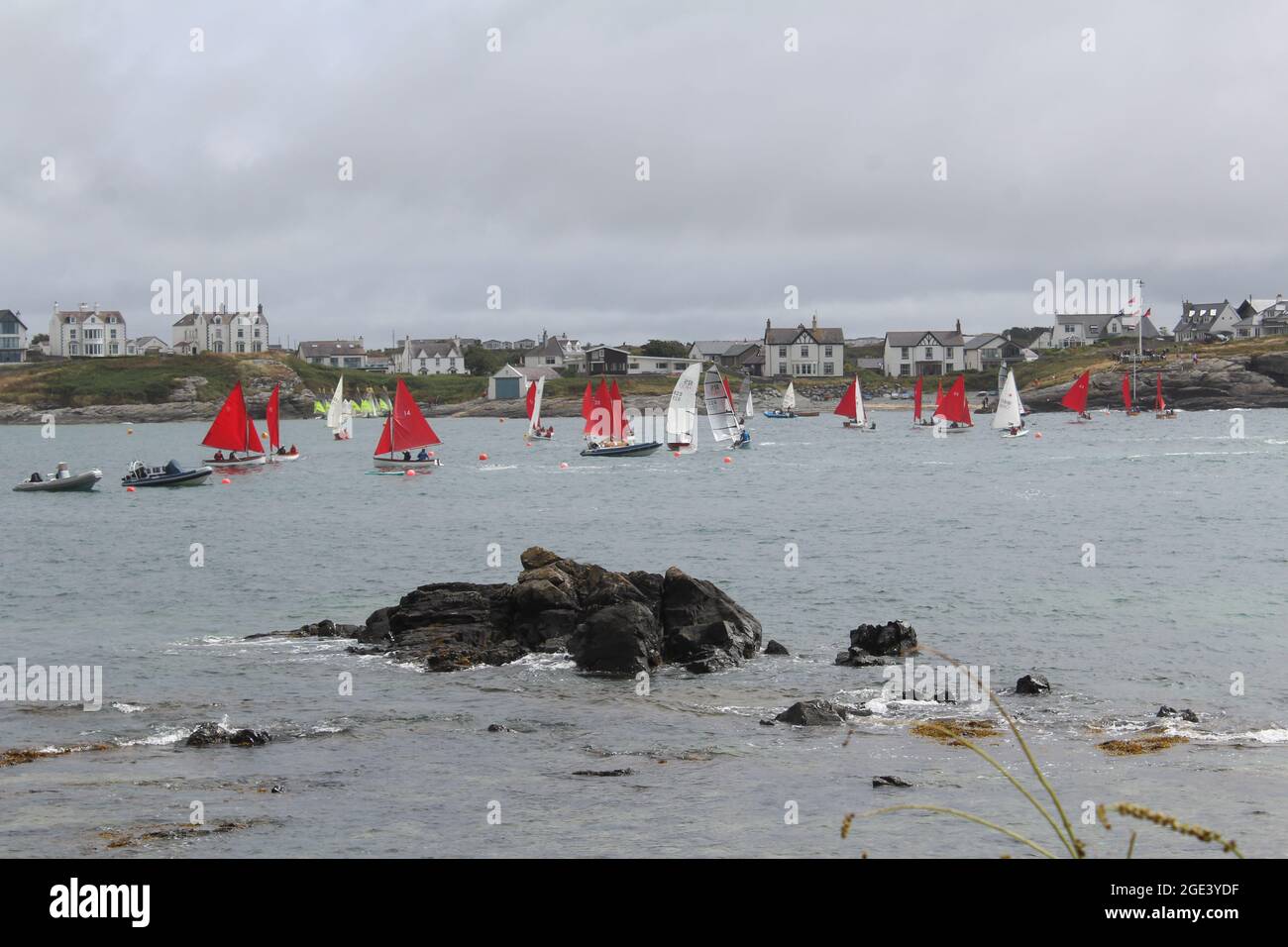 Sailing competition in Trearddur Bay, Anglesey. Stock Photo