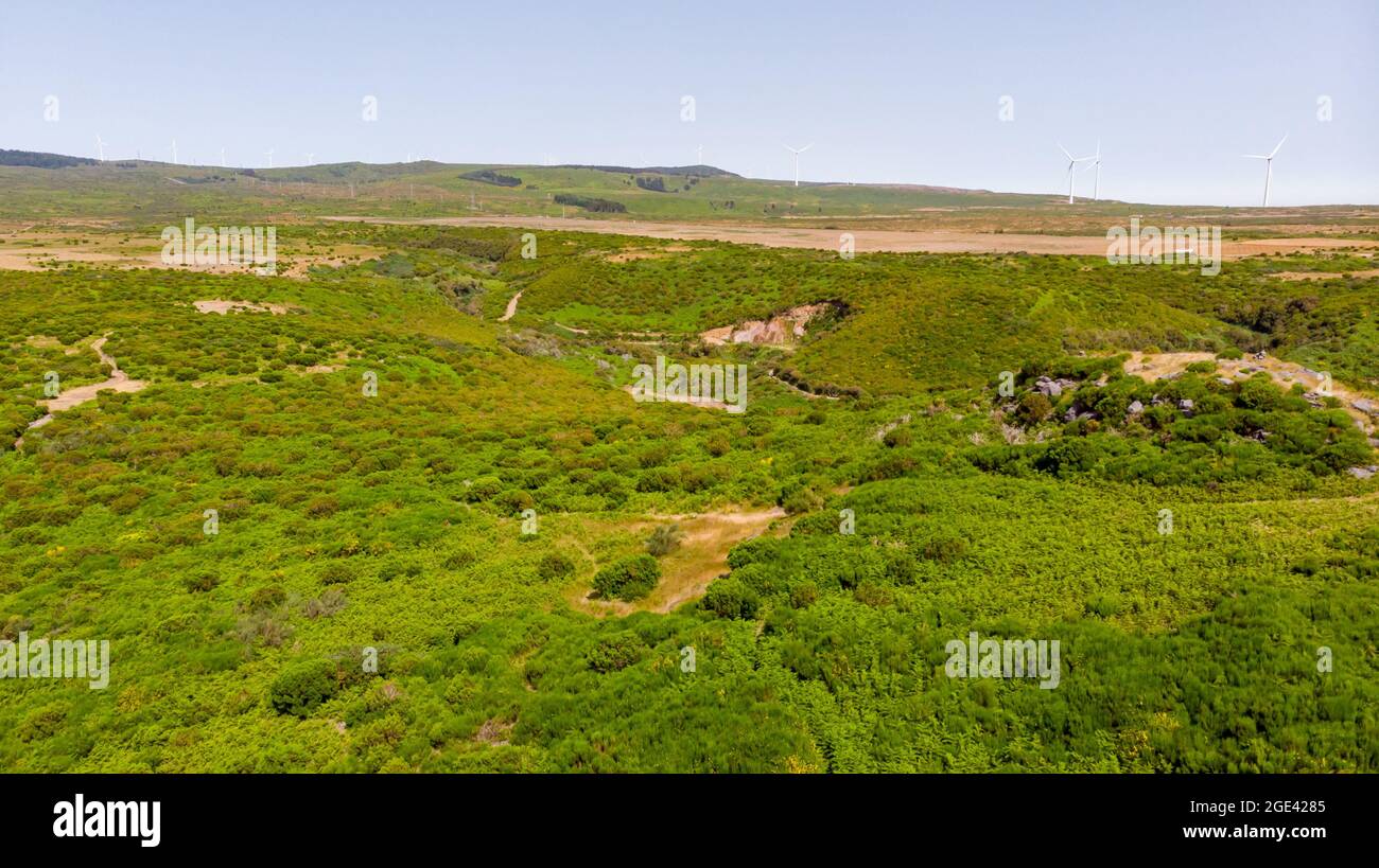 Aerial view of lush ridge with wind turbines generating clean ...