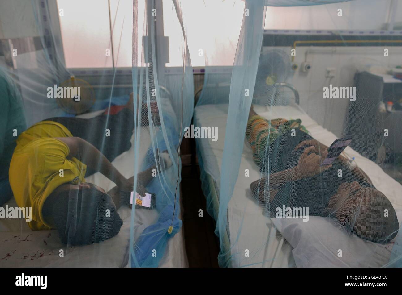 Non Exclusive DHAKA, BANGLADESH AUGUST 16 Patients infected with Dengue fever are treated in