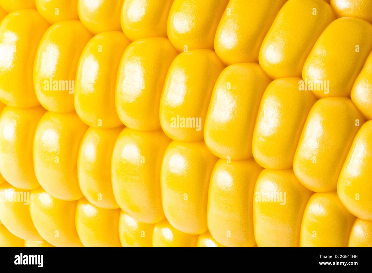 corn texture background. Corn grains close up. Stock Photo