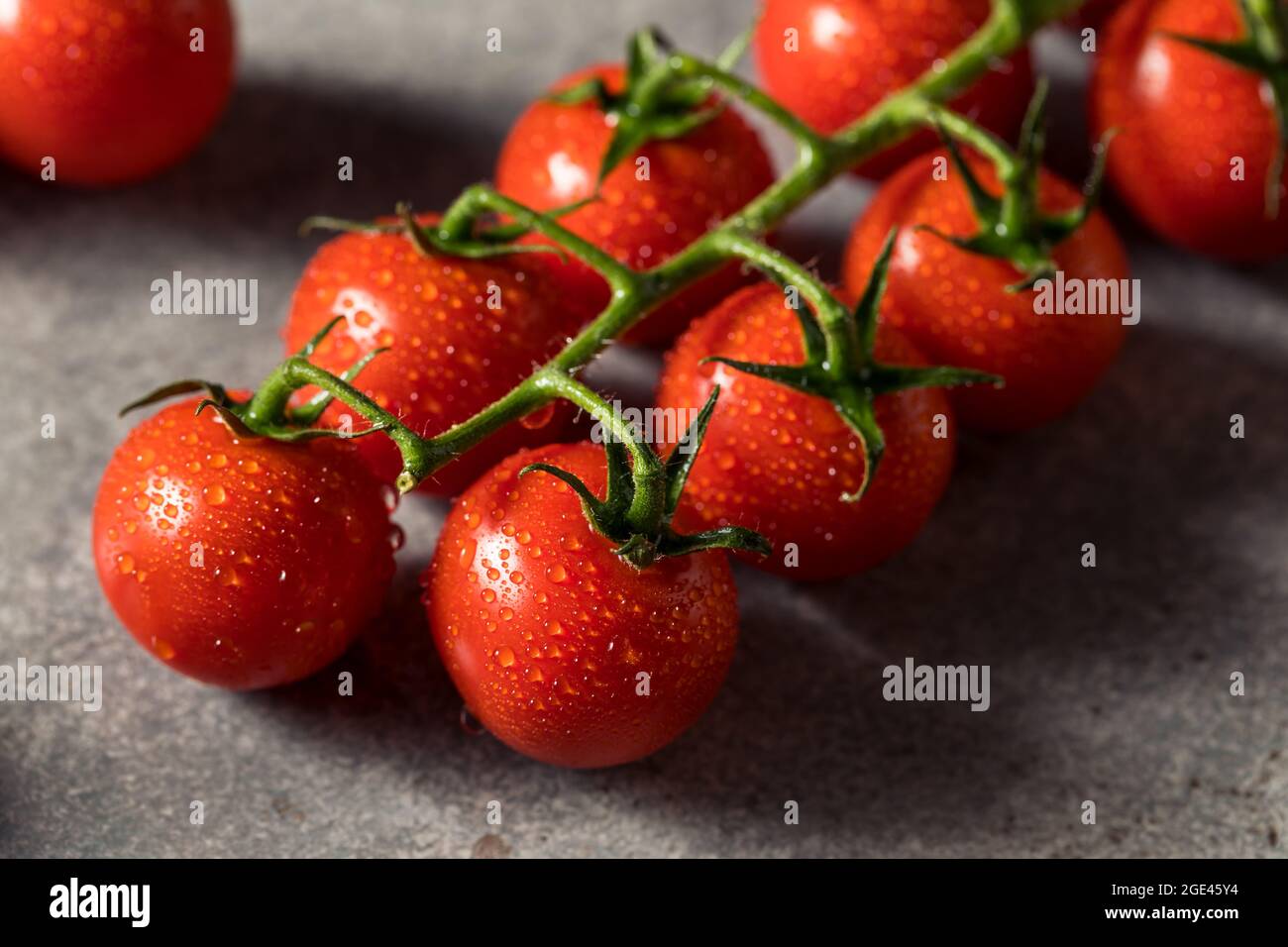 Healthy Organic Red Cherry Tomatoes in a Bunch Stock Photo - Alamy