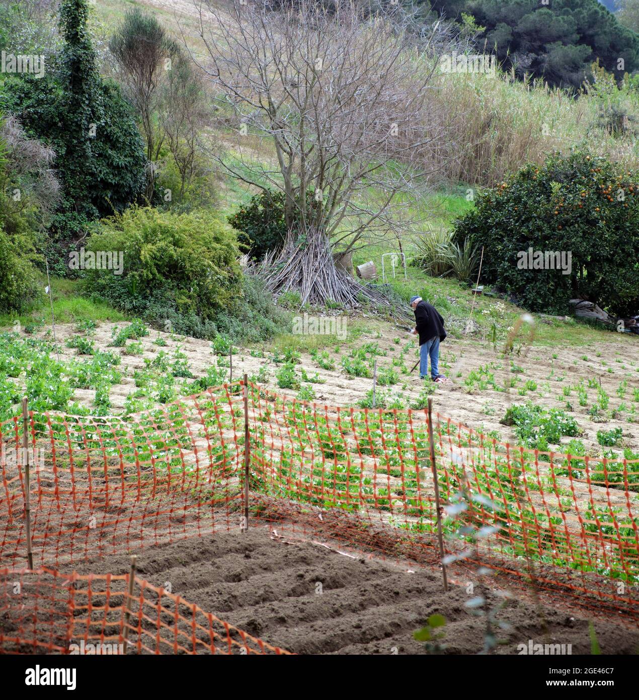 Old man garden fence hi-res stock photography and images - Alamy