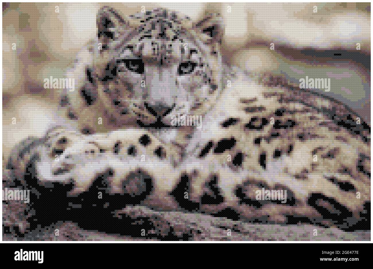 Portrait Of A Snow Leopard A Snow Leopard Lounges On A Rock Snow Leopard Illustration Of Cross Stitch Embroidery Imitation Of Knitted Canvas Struc Stock Photo Alamy Portrait Of A Snow Leopard A Snow Leopard Lounges On A Rock Snow Leopard Illustration Of Cross Stitch Embroidery Imitation Of Knitted Canvas Struc Stock Photo Alamy