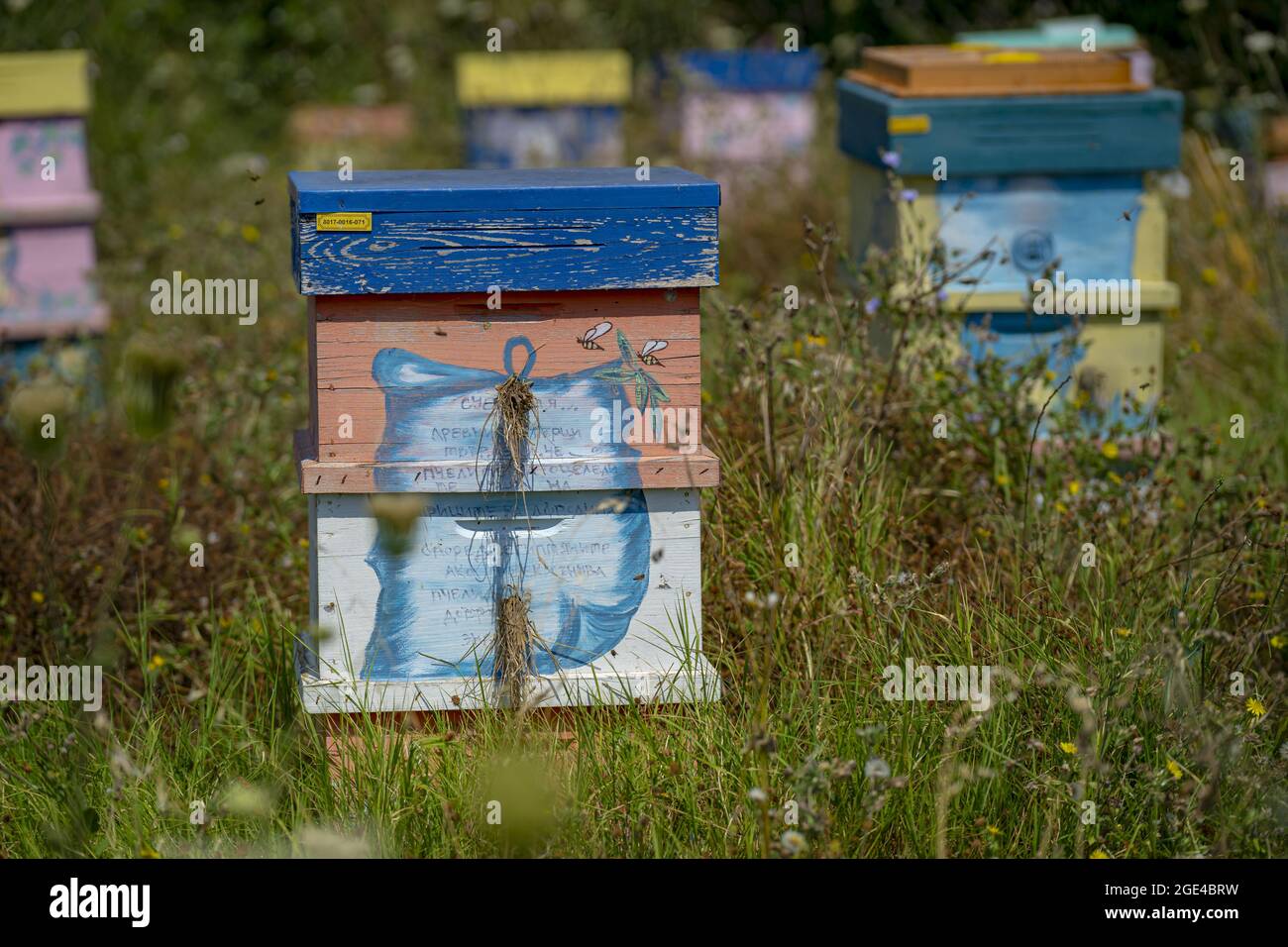 Selective focus shot of beehives in a field Stock Photo