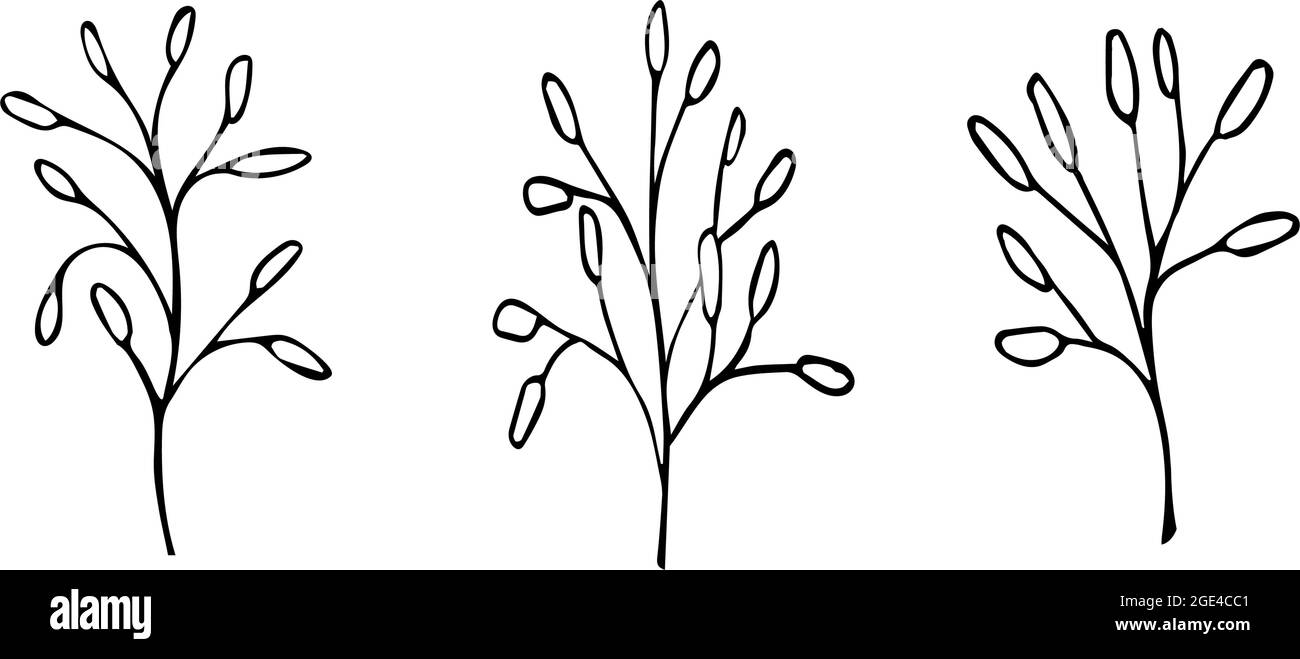 Floral doodle elements hand drawn for logo or tatoo Stock Vector Image ...
