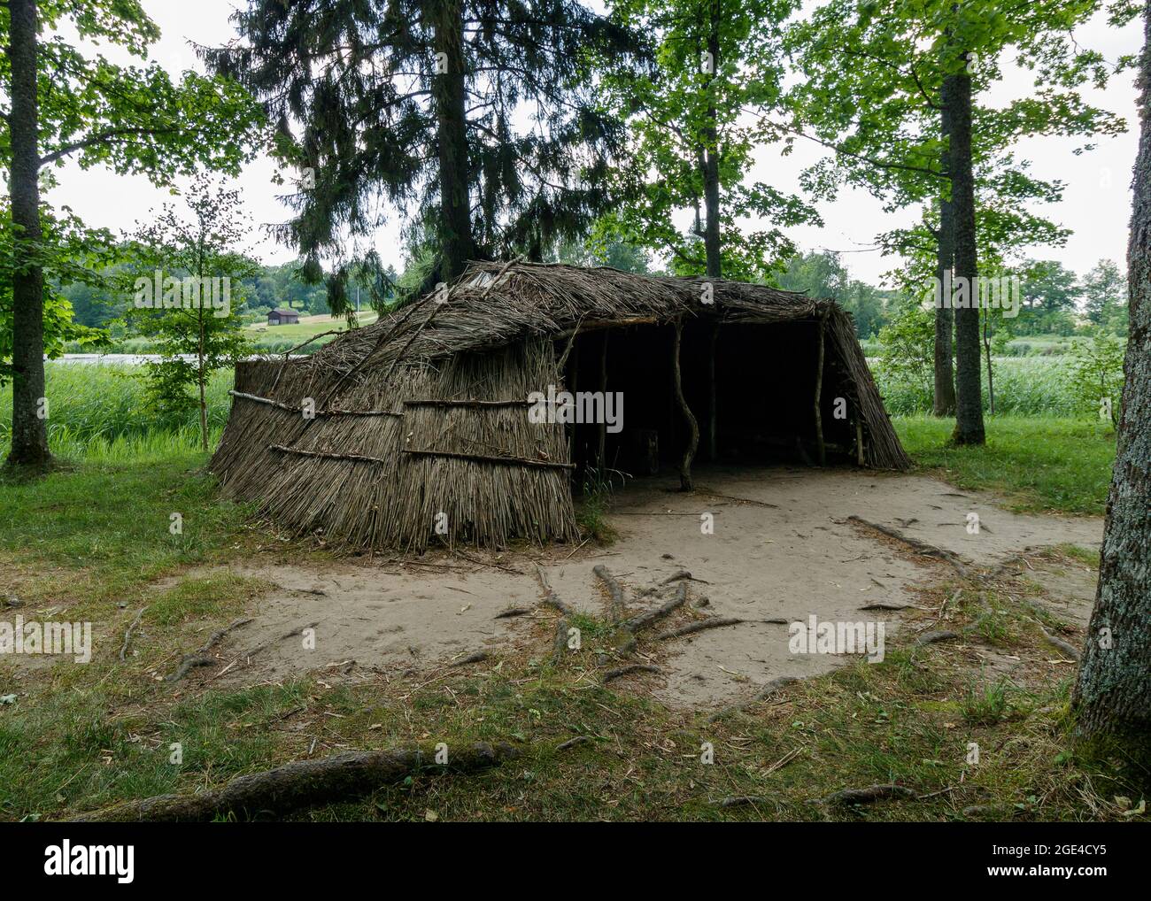 Straw canopy in the open air. A mysterious place where both humans and animals can hide. Renovated tent from the Iron Age. Around the trees. A magical Stock Photo