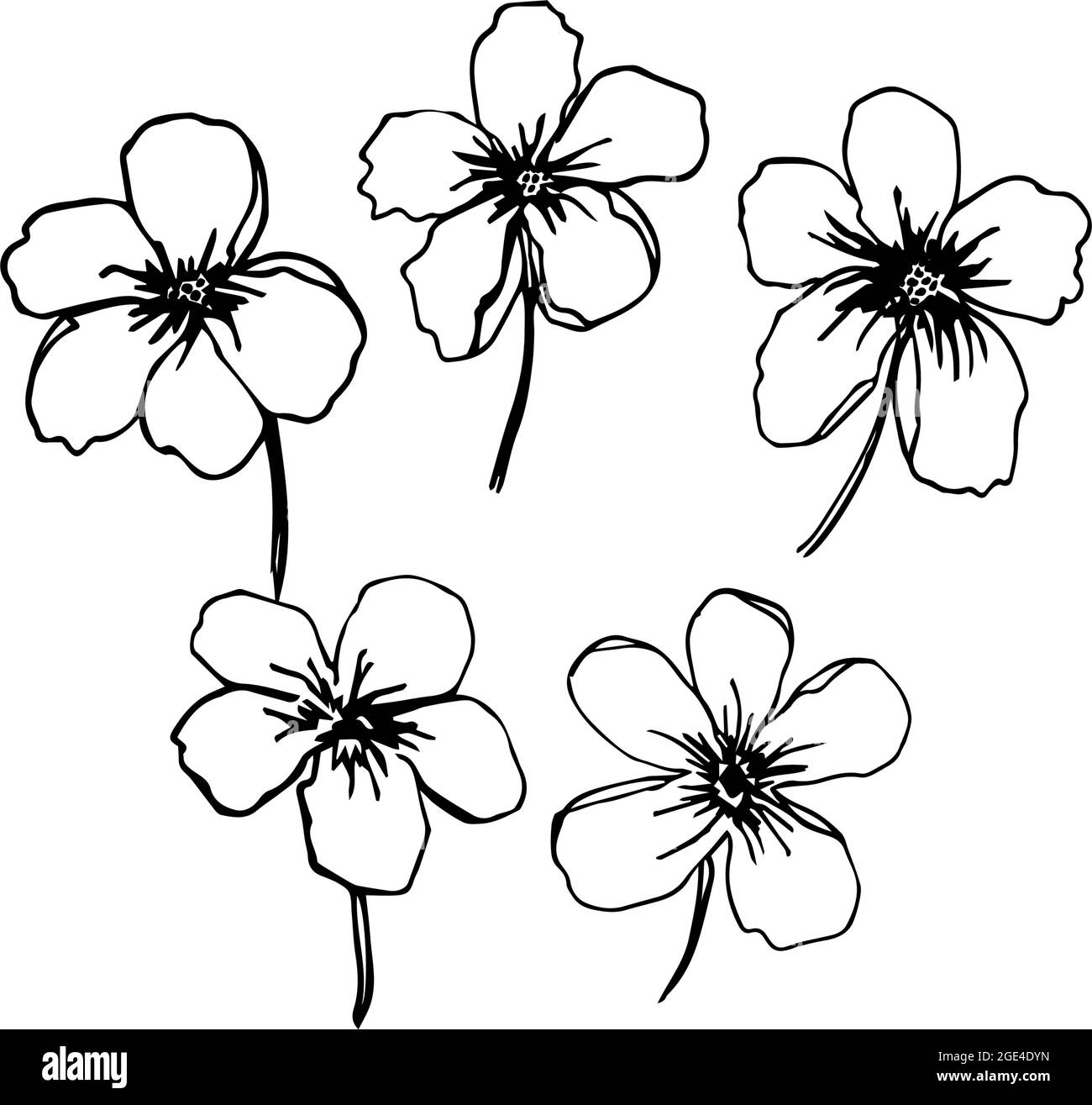 Floral doodle elements hand drawn for logo or tatoo Stock Vector Image ...