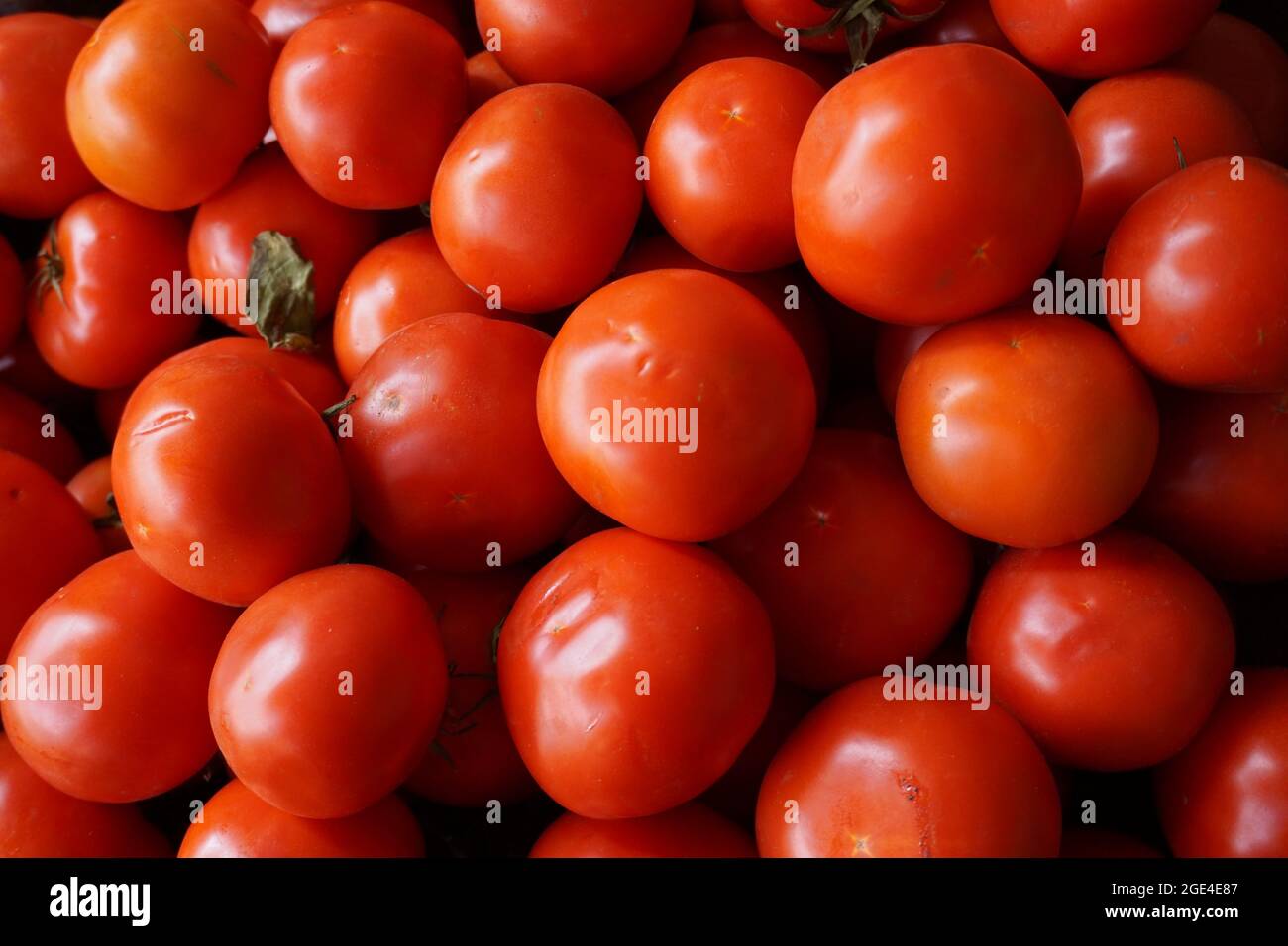 Beautiful red Tomatoes,Vegetarian Background,Natural,Healthy Ketchup Stock Photo