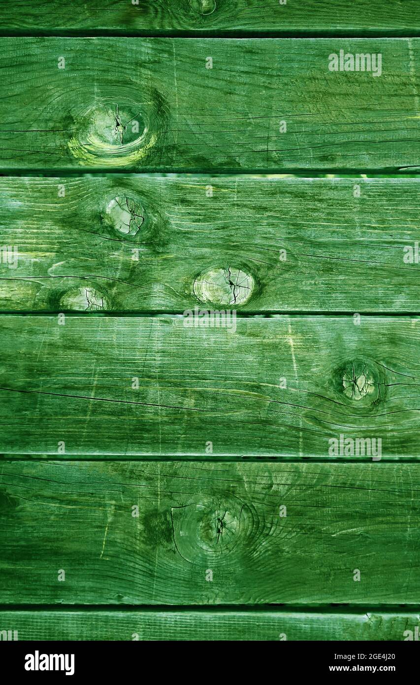 Deep forest green colored horizontal pattern grunge wooden wall for background Stock Photo