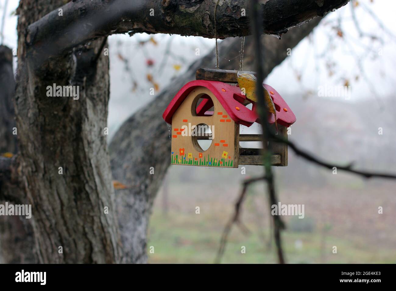 Birdhouse on a tree Stock Photo Alamy