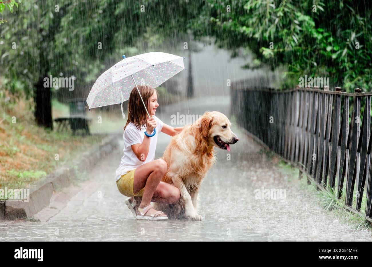 Girl with golden retriever dog in rainy day Stock Photo - Alamy