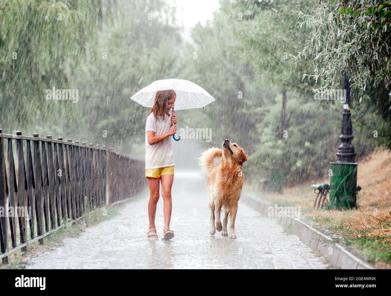 Girl with golden retriever dog in rainy day Stock Photo - Alamy