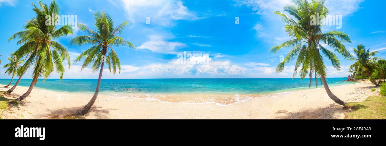 panorama of tropical beach with coconut palm trees Stock Photo - Alamy