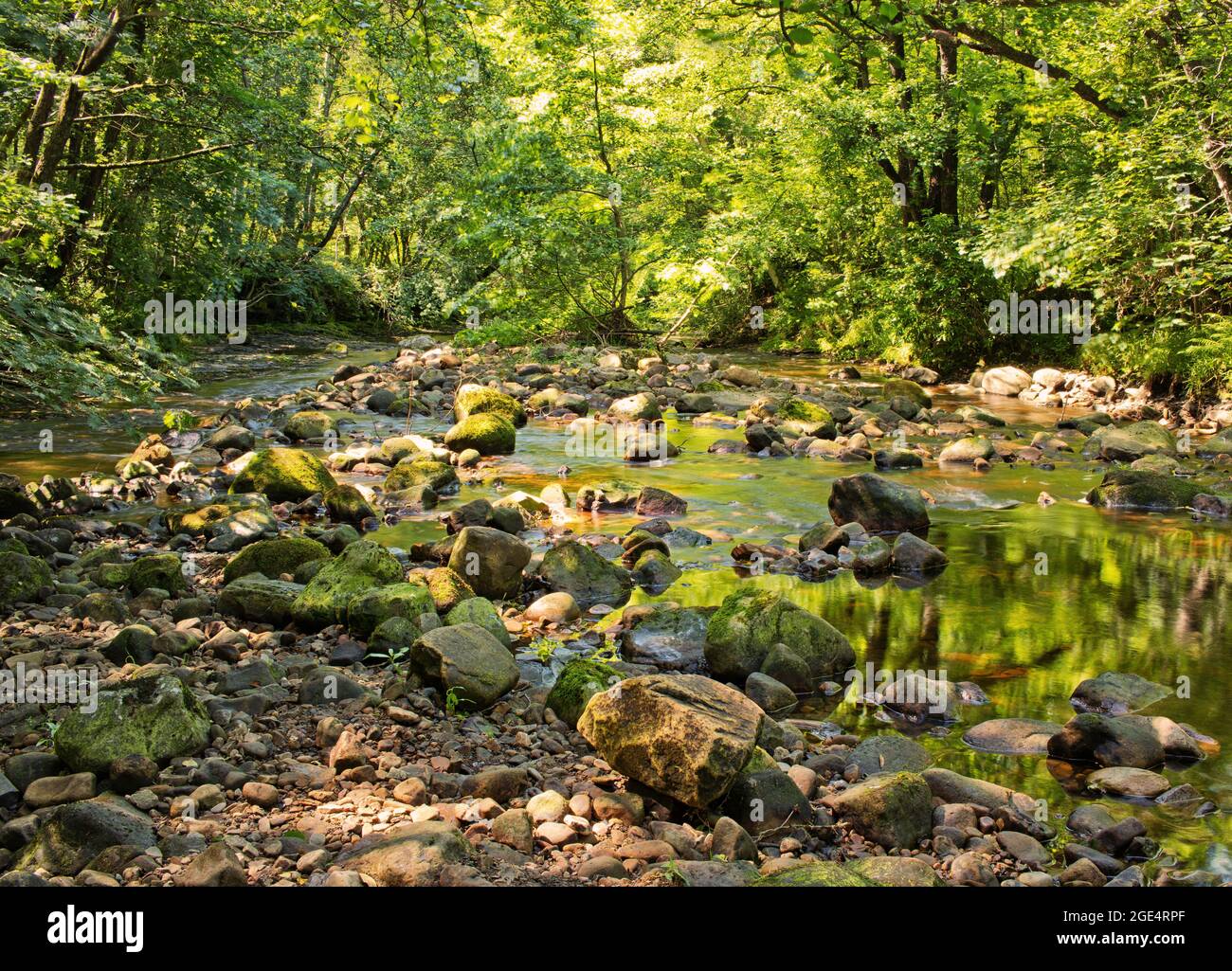The greenery of woodland reflected in a shallow stream Stock Photo - Alamy