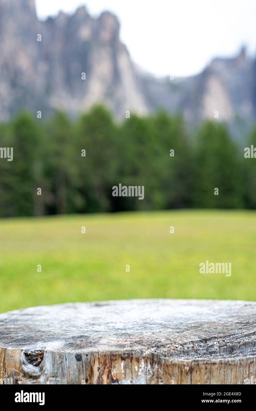 Empty cut trunk with blur background of fresh and green mountain. In the background green trees and high mountains. Blurred background. Copy space for Stock Photo