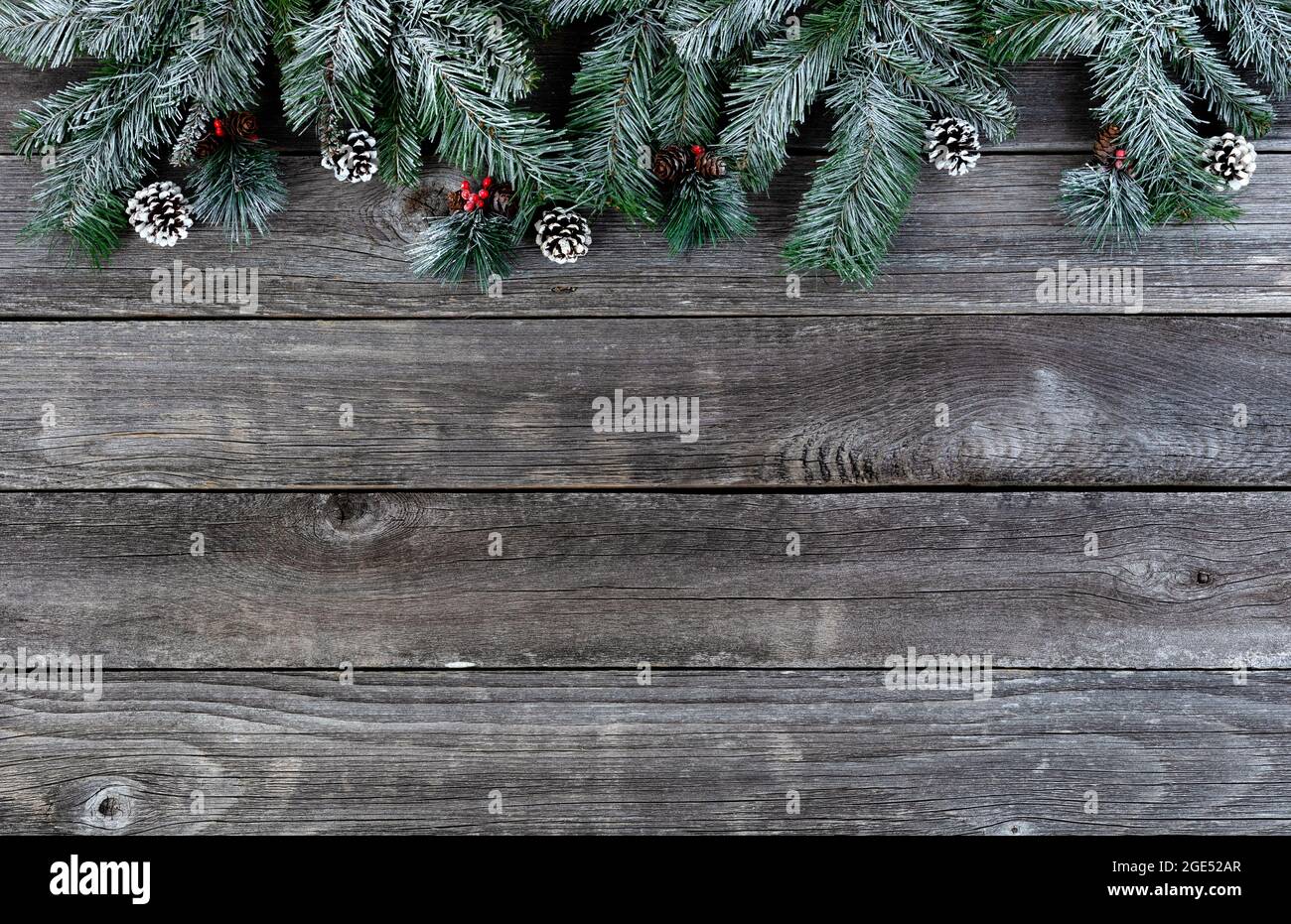 A Holiday Border From Evergreen Branches Stock Photo, Picture and