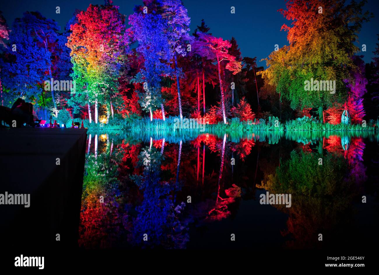 Bad Lippspringe, Germany. 16th Aug, 2021. Trees colourfully illuminated by  lights stand on the grounds of the former Bad Lippspringe State Garden  Show. The light spectacle will be on display until 29