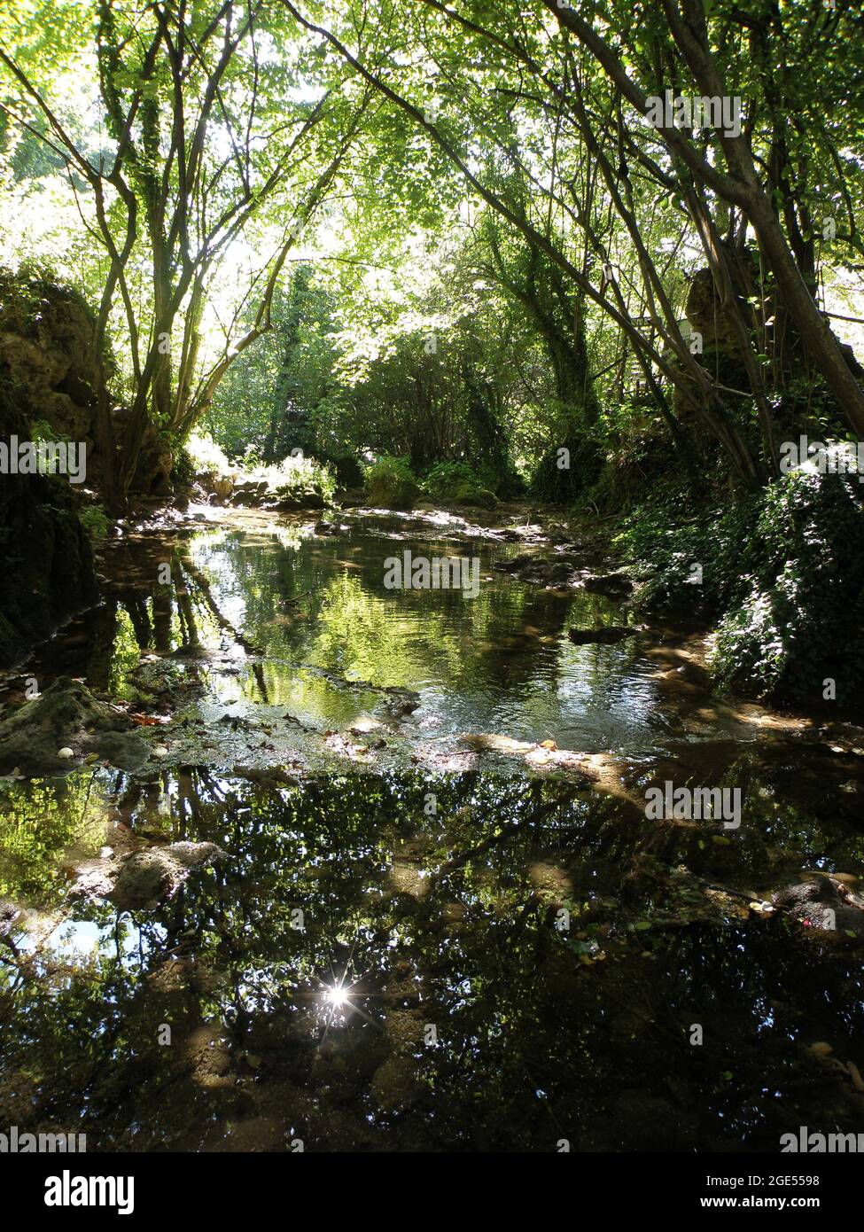 Using Rivers For Reflection Examples River with Reflection in The Forest Stock Photo - Alamy