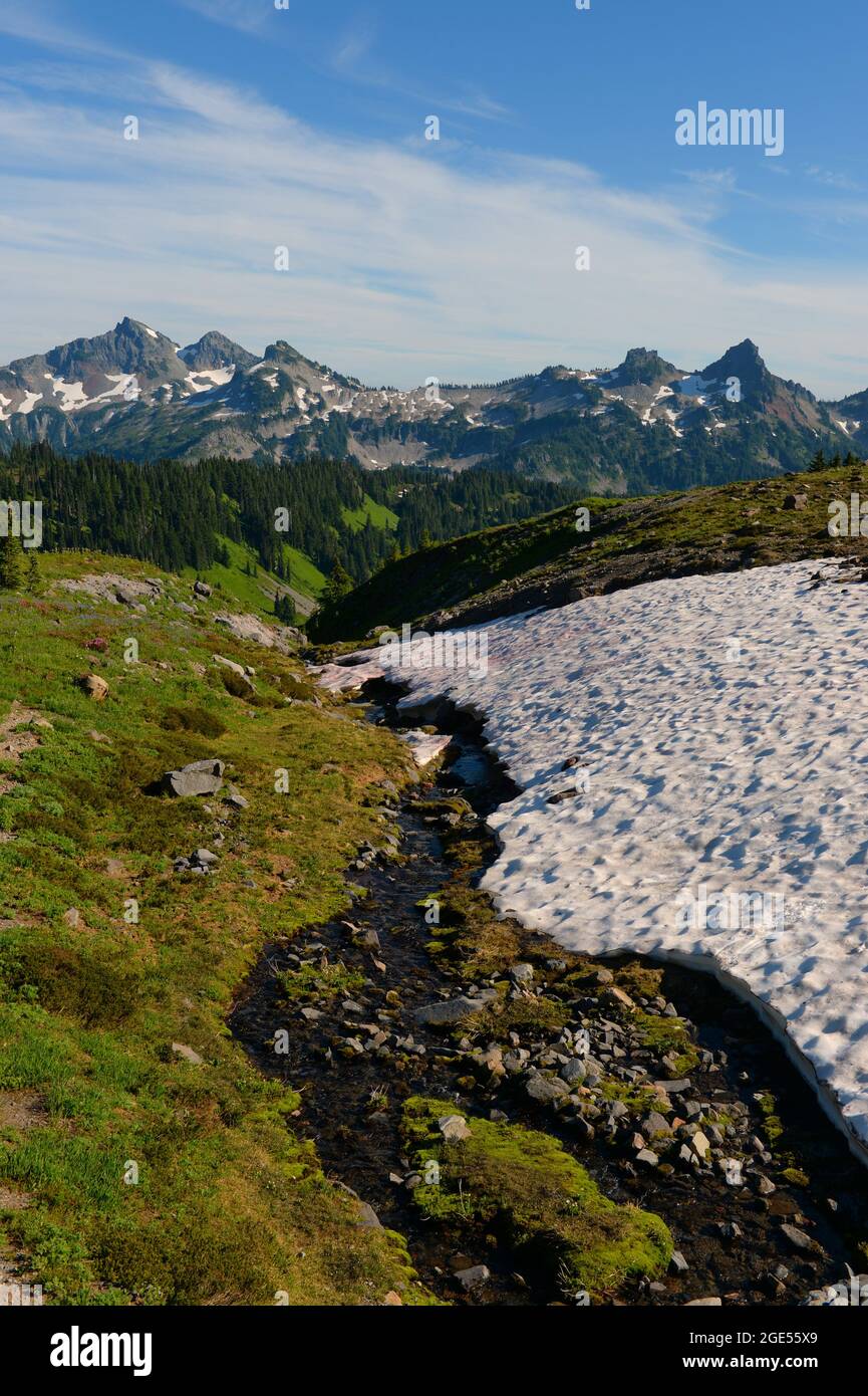 View of the Tatoosh Range from the Skyline Trail at Paradise in Mt. Rainier National Park in Washington State, USA. Stock Photo