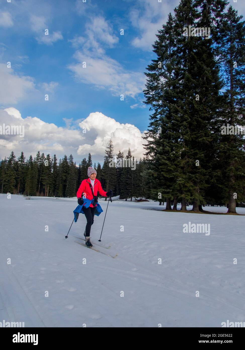 A woman (model released) is crosscountry skiing in the spring at