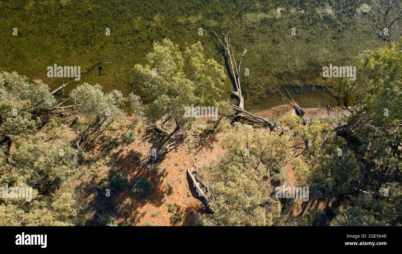 Aerial image looking down on water and trees, Andruco Lagoon, NSW, Australia. Stock Photo