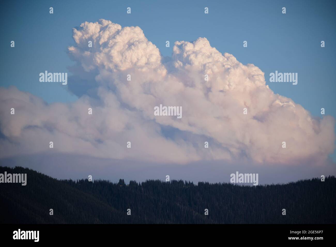 Smoke and heated air from growing wildfire near Manning Park, BC creates its own weather system with cumulo-nimbus clouds seen developing over forest Stock Photo