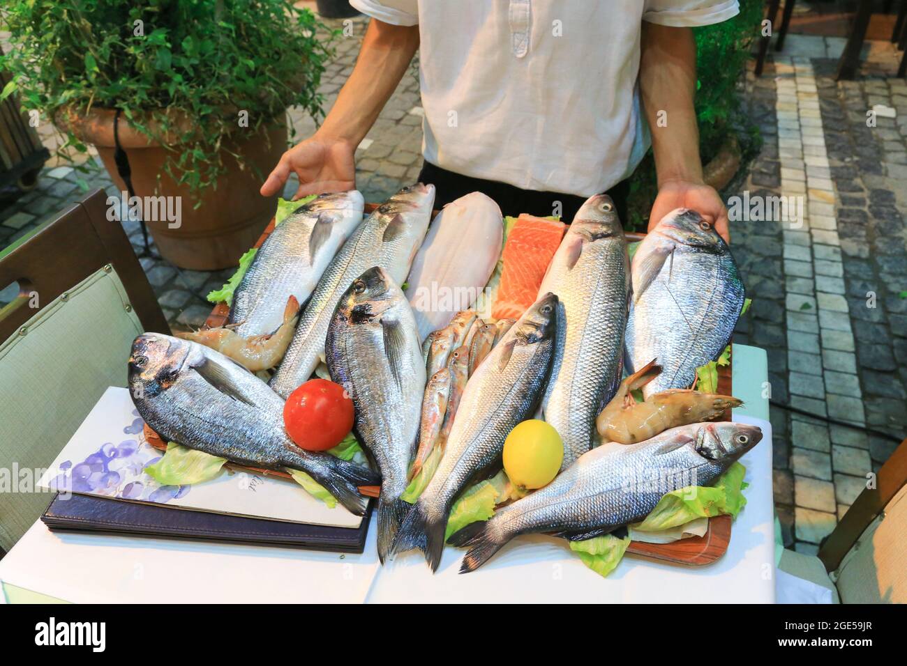 A tray of fresh fish for dinner selection at a fish restaurant in the Kumkapı    district of Istanbul. Stock Photo