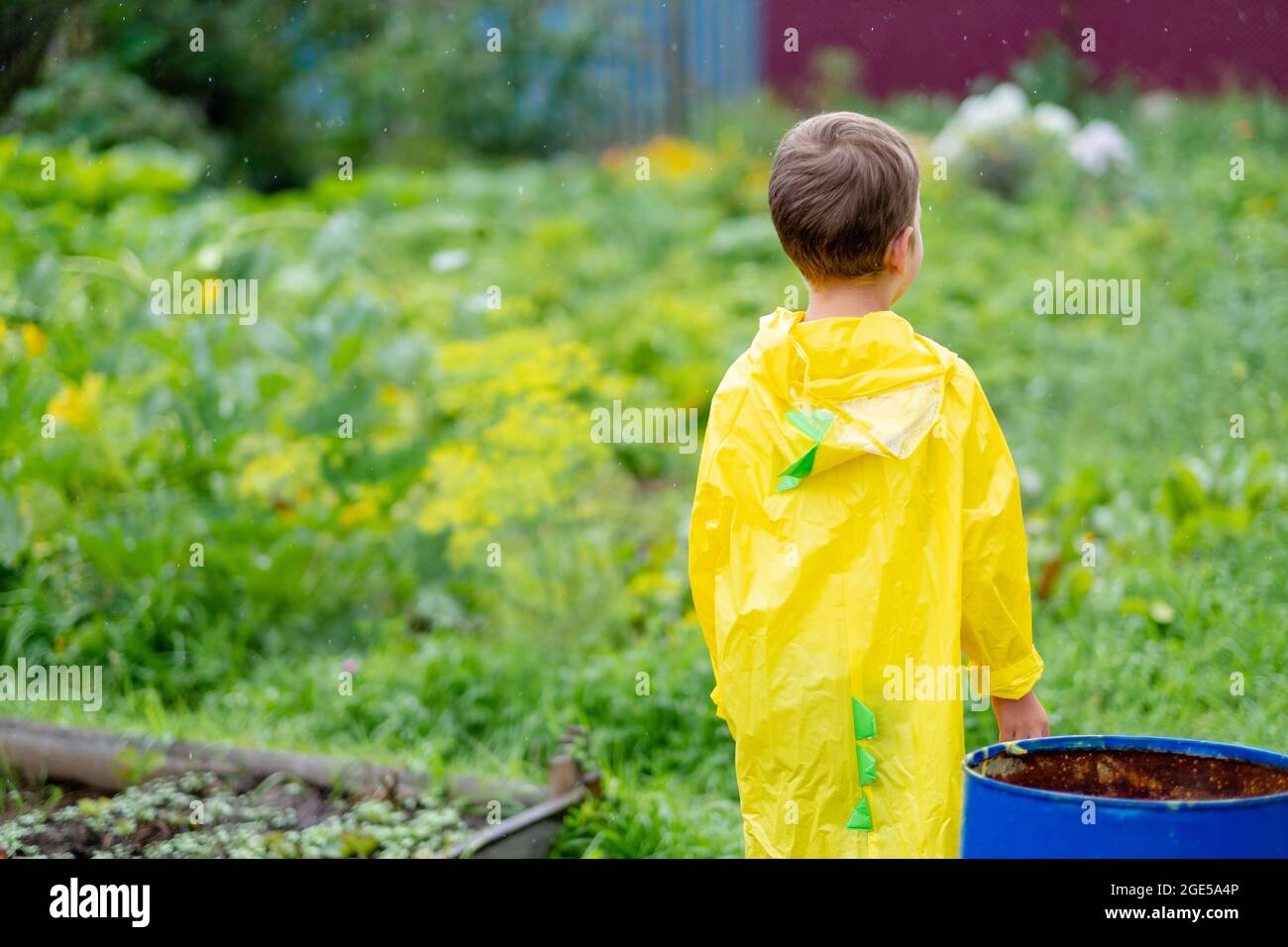 A boy in a yellow raincoat walks in the rain, back view. A child on the