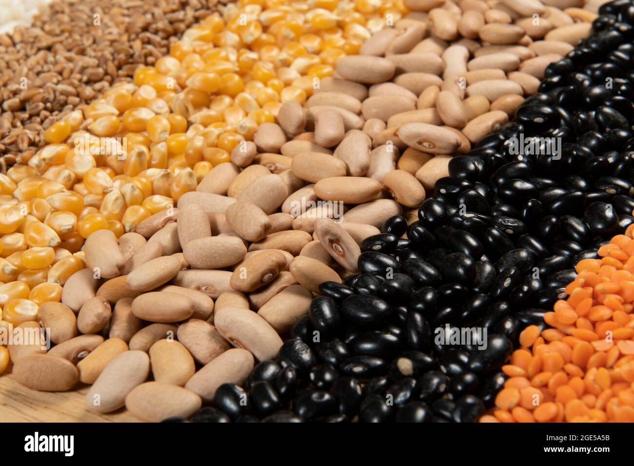 Collection of different cereal varieties and edible dry seeds. Examples