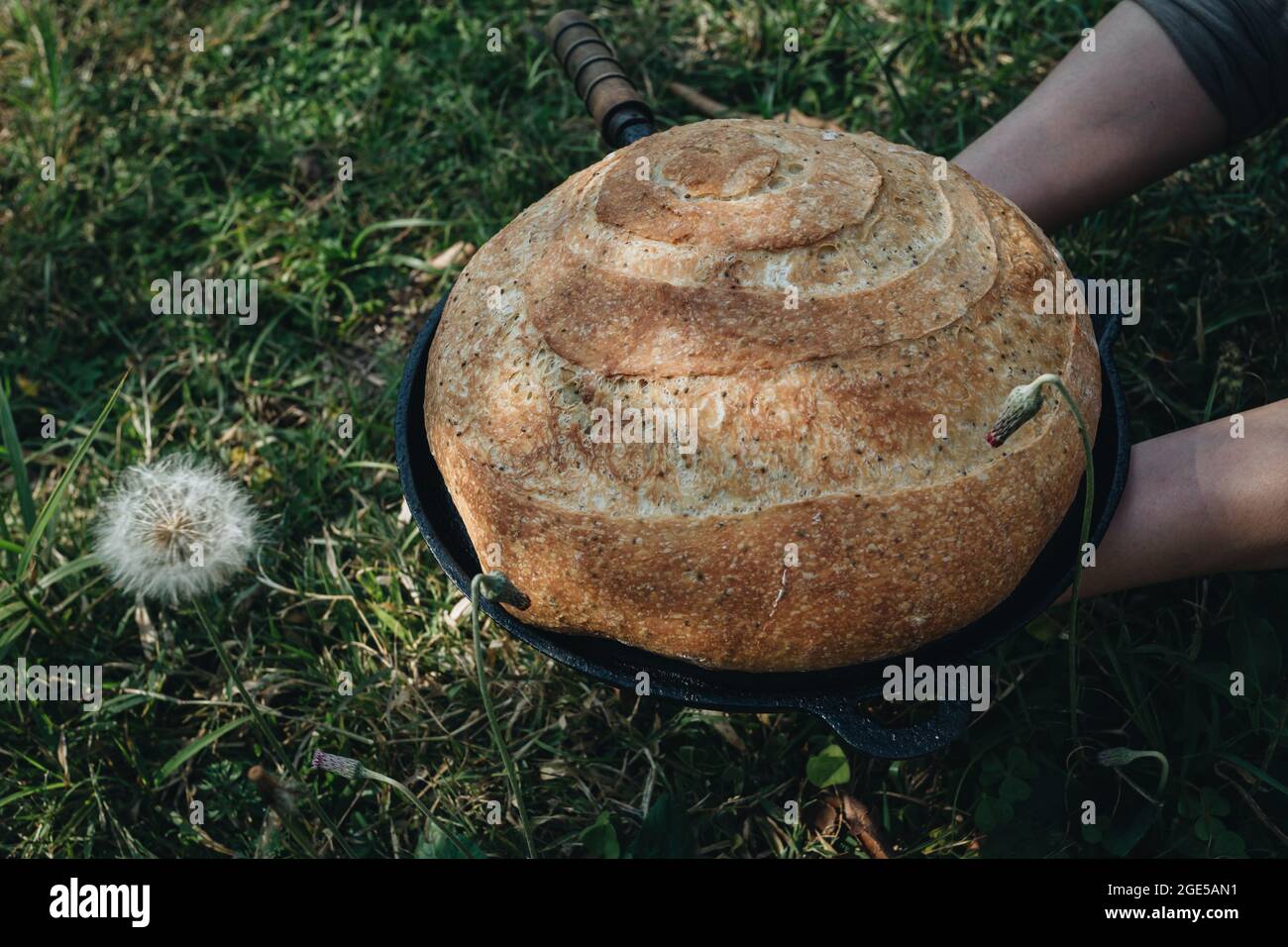Homemade crusty artisan sourdough bread in the backyard, natural background Stock Photo