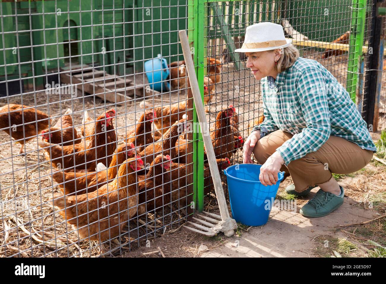 Smiling mature female proffesional farmer near chicken house at 