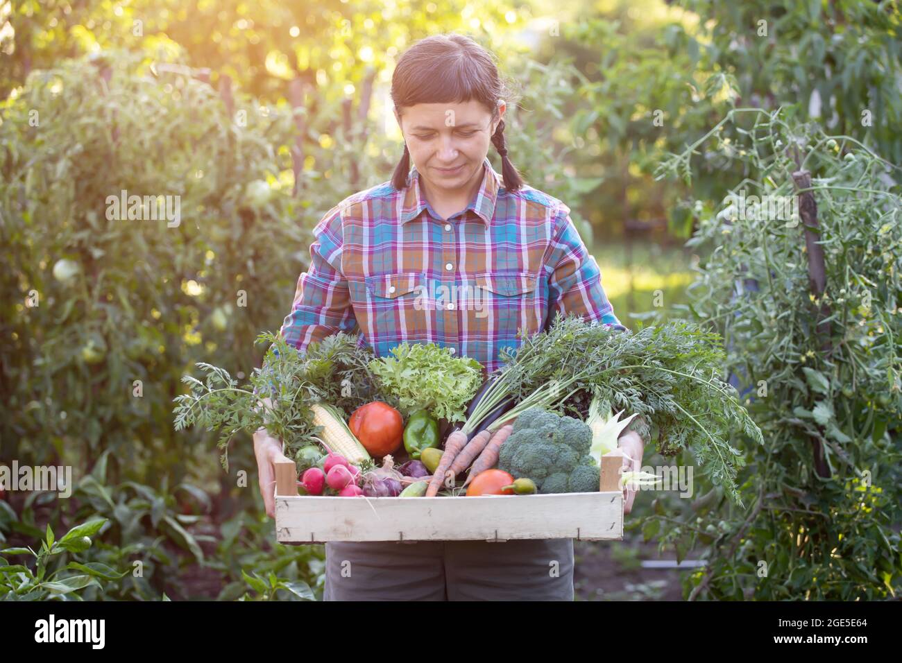 Farmer woman holding wooden box full of fresh raw vegetables. Growing ...