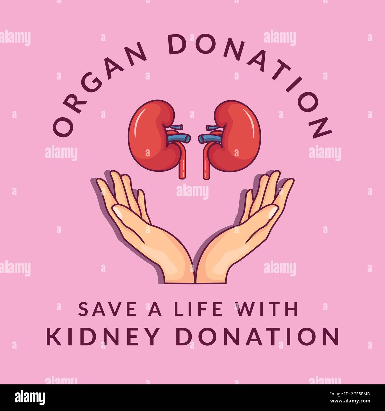 organ donation. kidney donation. donate your kidney to save a life