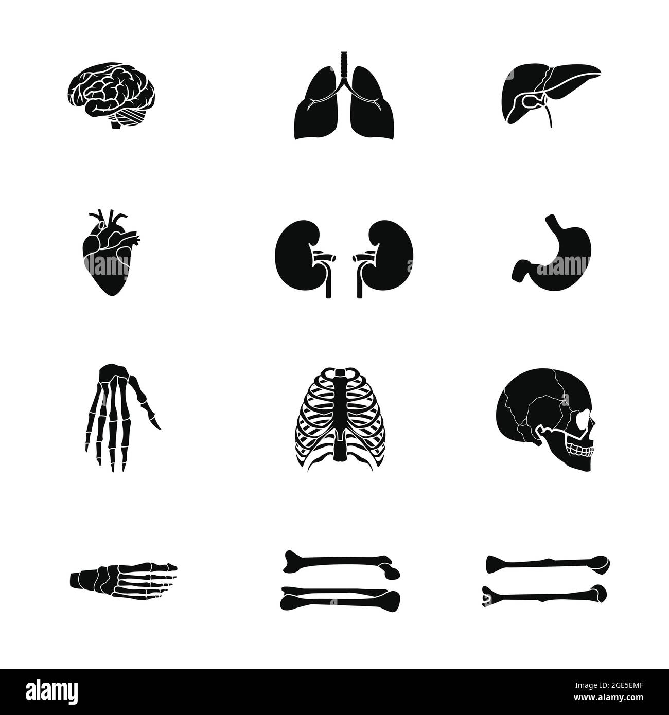 set icon silhouette human organ. skull. bone. arm. hand. leg. foot. kidney. liver. heart. brain. stomach Stock Vector