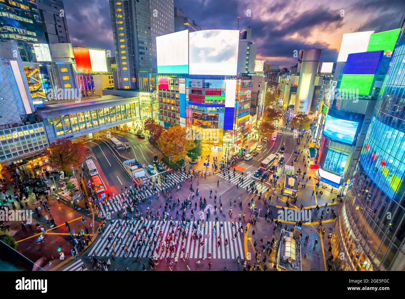 Shibuya Crossing from top view at twilight in Tokyo, Japan Stock Photo