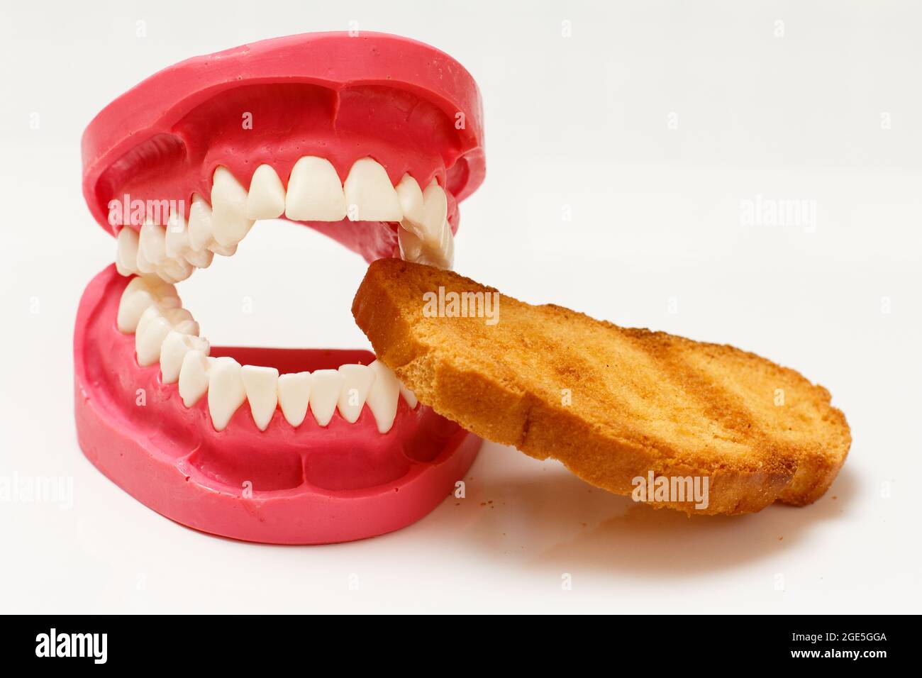 Layout teeth oral cavity hi-res stock photography and images - Alamy