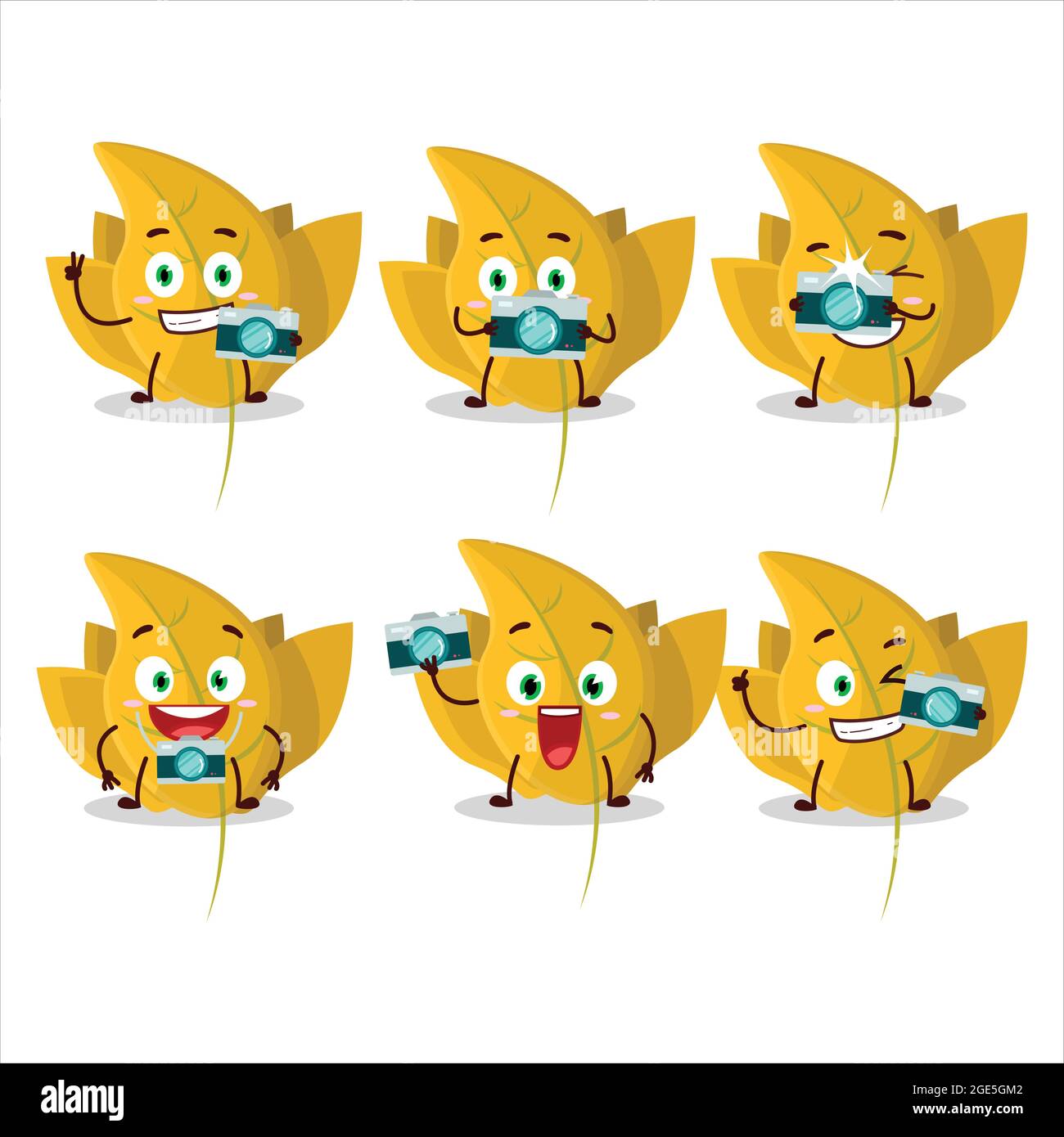 Photographer profession emoticon with conkers yellow leafz cartoon character. Vector illustration Stock Vector