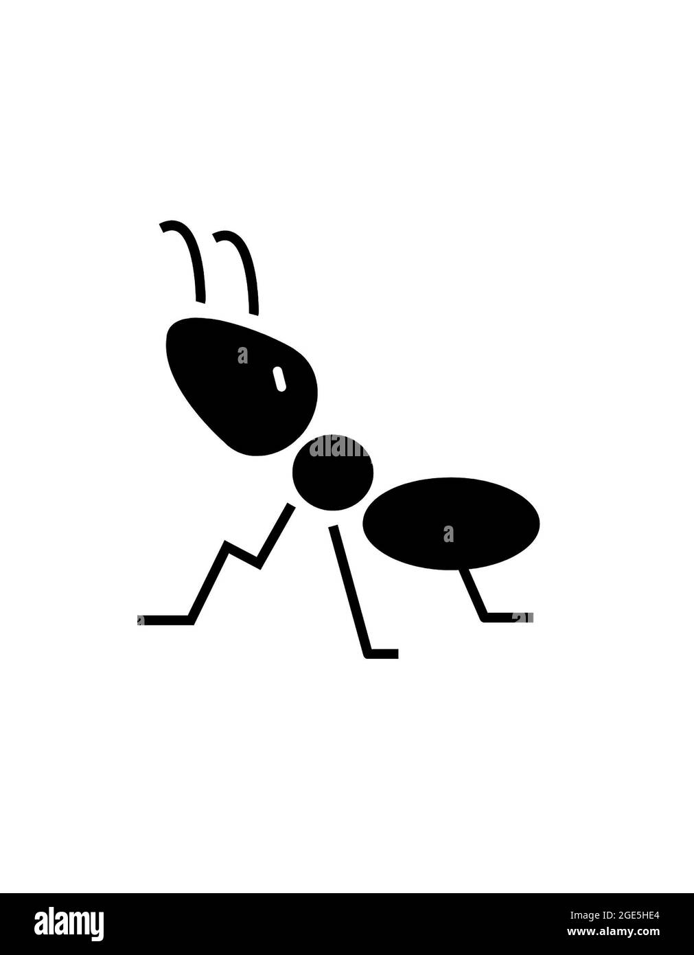 Illustration of a ant  bug insects Stock Photo