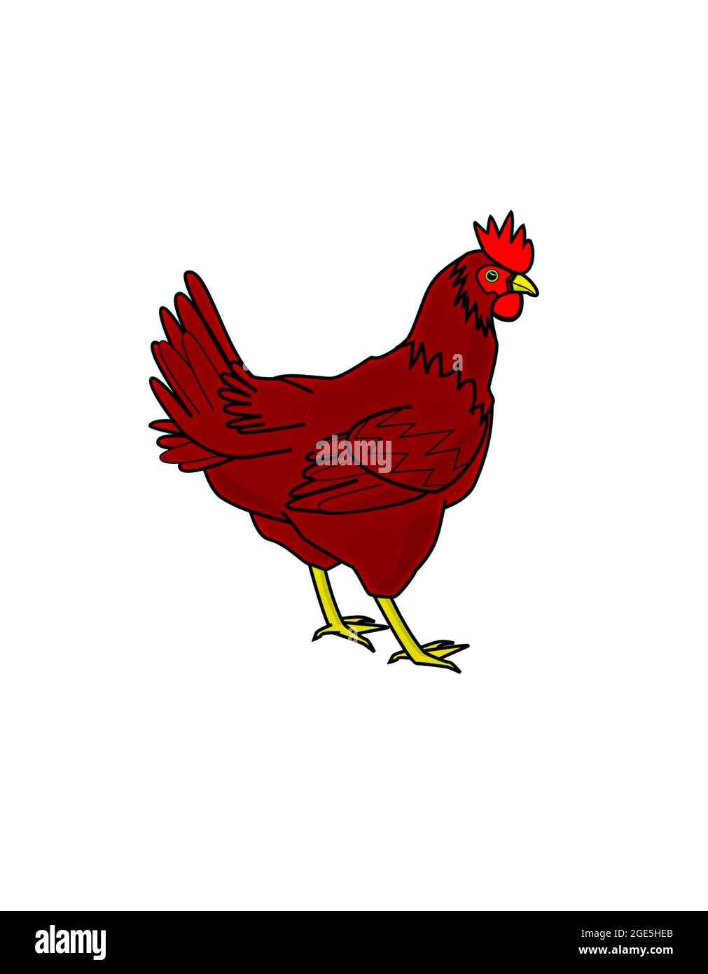 Farmer murgi hi-res stock photography and images - Alamy