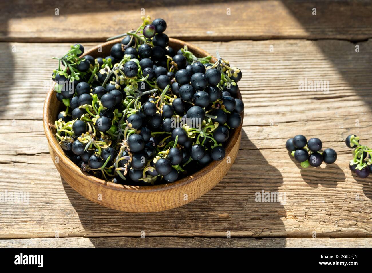Black nightshade berries in a plate on table close-up. Nightshade in cooking. Healthy food. Harvest for baking Stock Photo