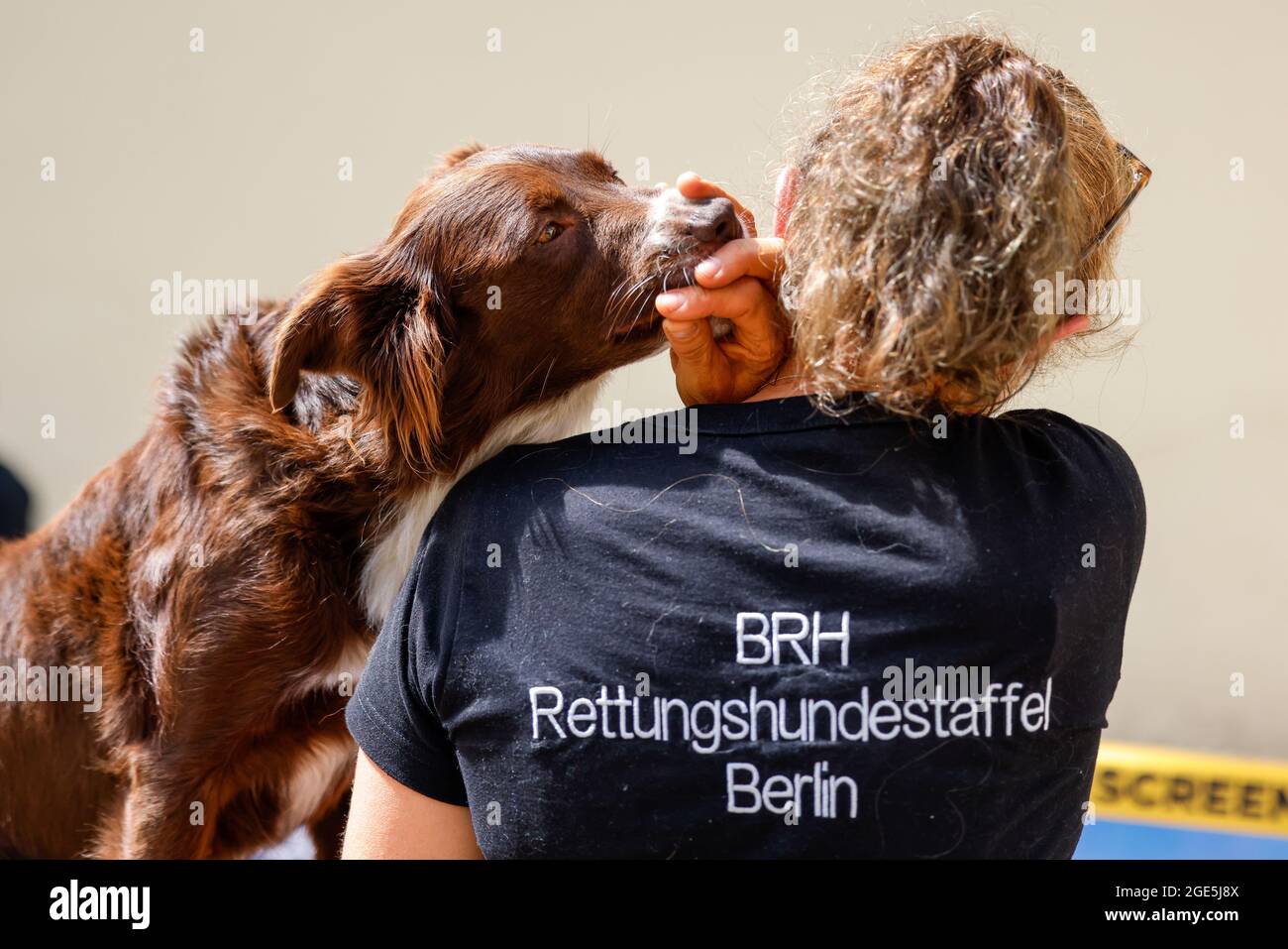 Berlin, Germany. 15th Aug, 2021. A rescue dog of the BRH Rettungshundestaffel Berlin gets a treat from its leader at the fan screening of 'PAW Patrol: Der Kinofilm' at the cinema in the Kulturbrauerei. Credit: Gerald Matzka/dpa/Alamy Live News Stock Photo